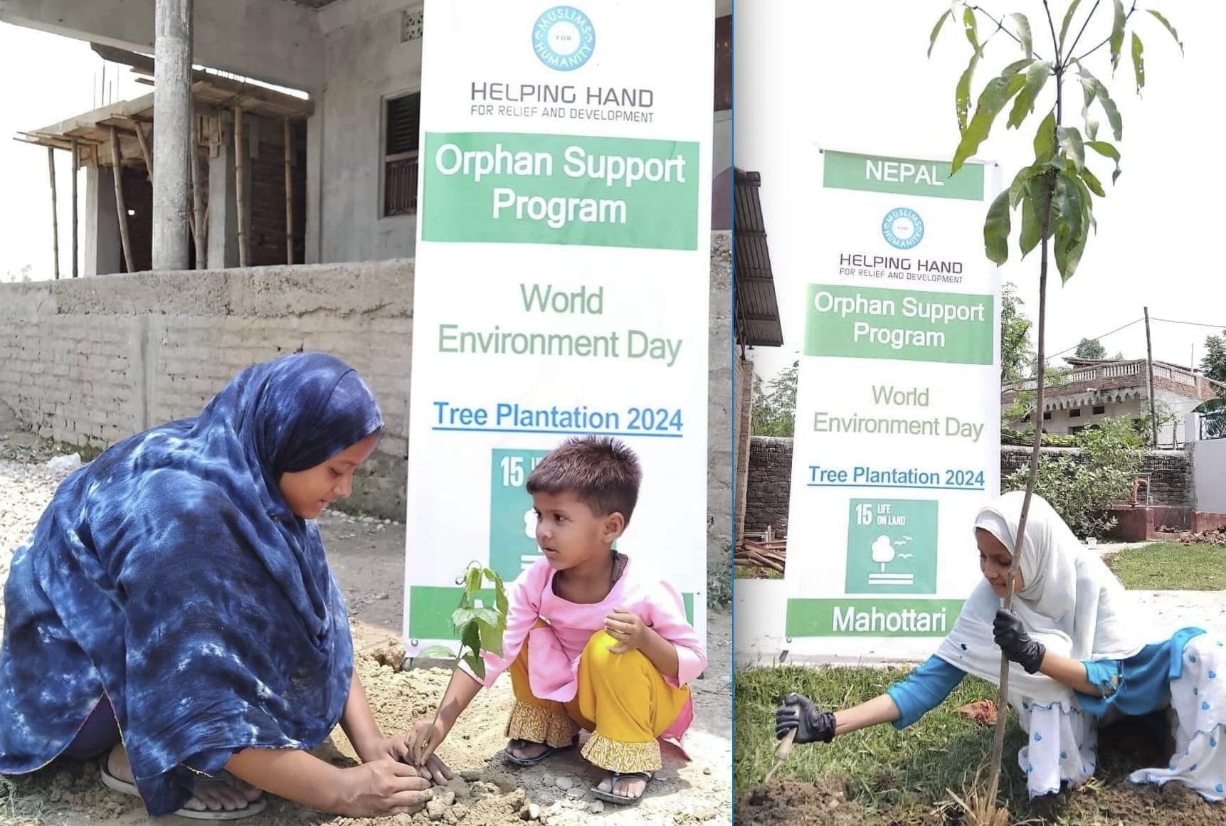 Plants Seeds for a Greener Future on World Environment Day